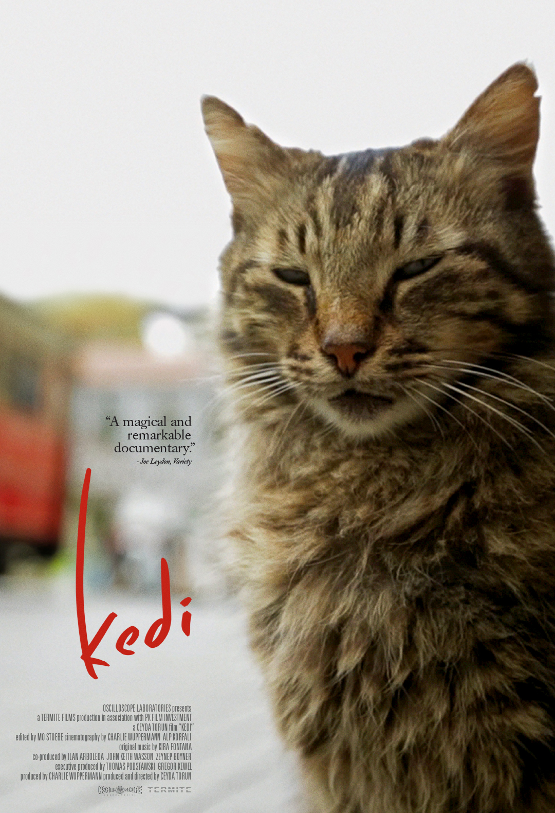 Kedi_onesheet_1080x1580.jpg