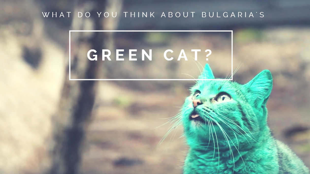 There Is A (Slightly) Green Cat Running Around Bulgaria