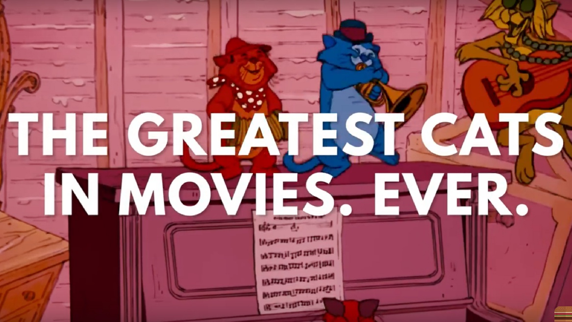 Watch This Supercut Of The Greatest Cats In Movies