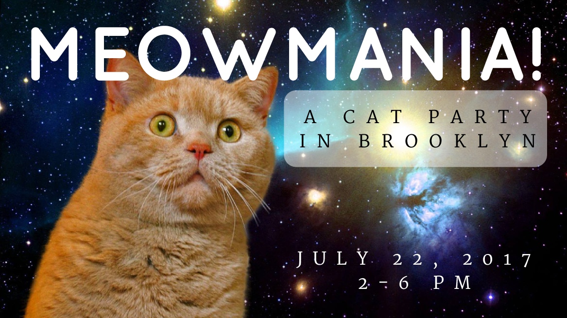 Meowmania!: A Brooklyn Cat Party And Fundraiser Happening This Saturday