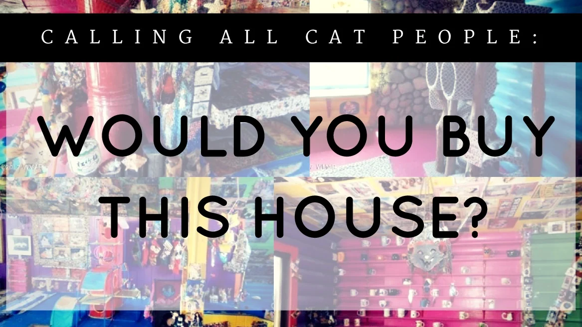 The Cat Lover's Dream House Just Hit The Market