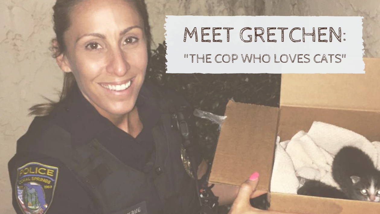 Check Out The Florida "Cop Who Loves Cats" Who Has Rescued Over 60 Stray Cats