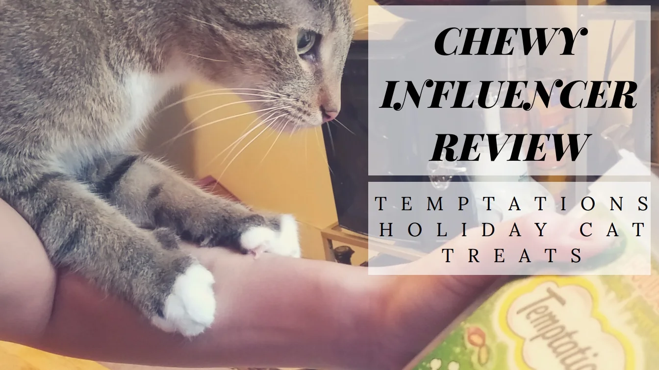 Chewy Influencer Review: Temptations Holiday Treats