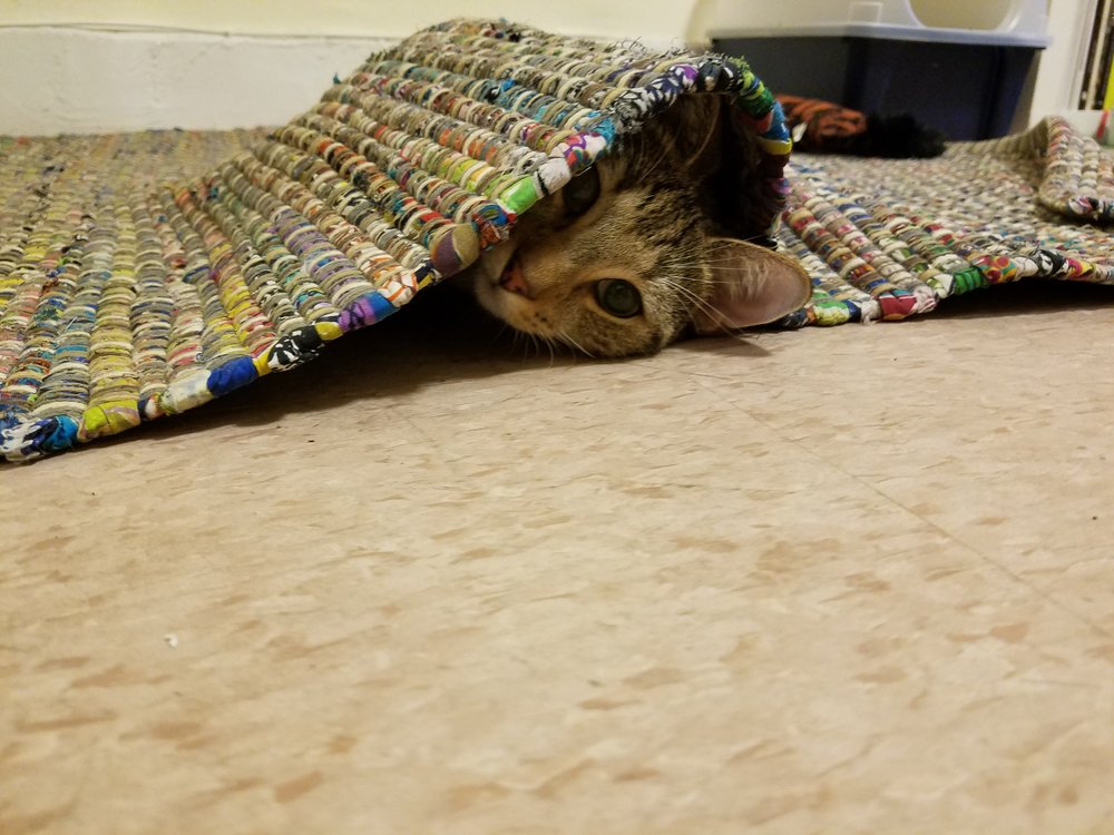 Not as stealthy…