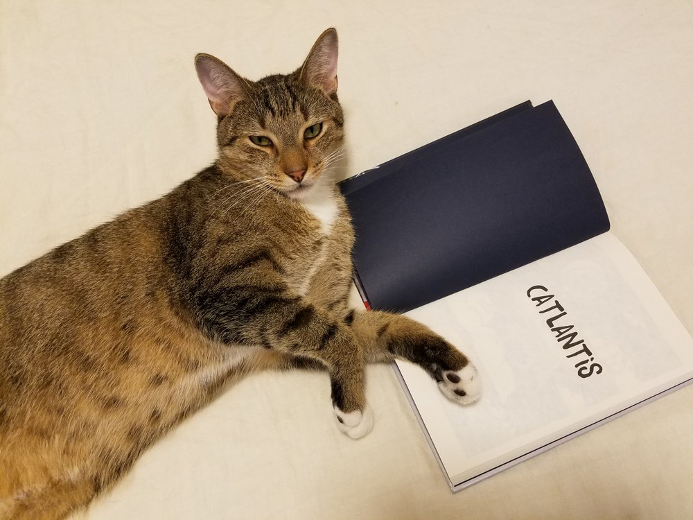 Wait I have to learn how to read first