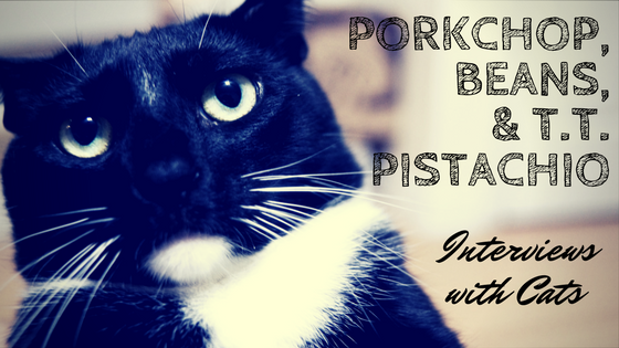 Interviews With Cats: Porkchop, Beans, and TT Pistachio