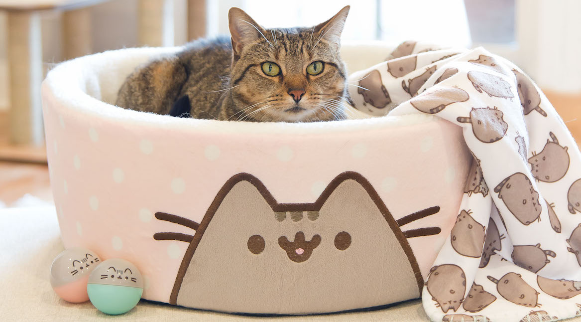 Petco Launches An Exclusive Pusheen Line Online and In Stores