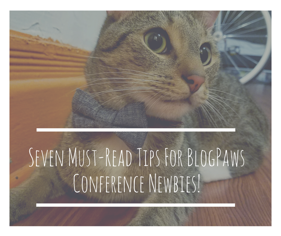 Seven Must-Read Tips For BlogPaws Conference Newbies!