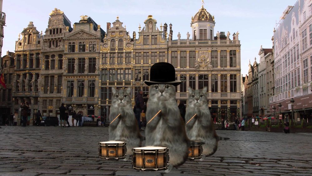 brussels-cats.jpg