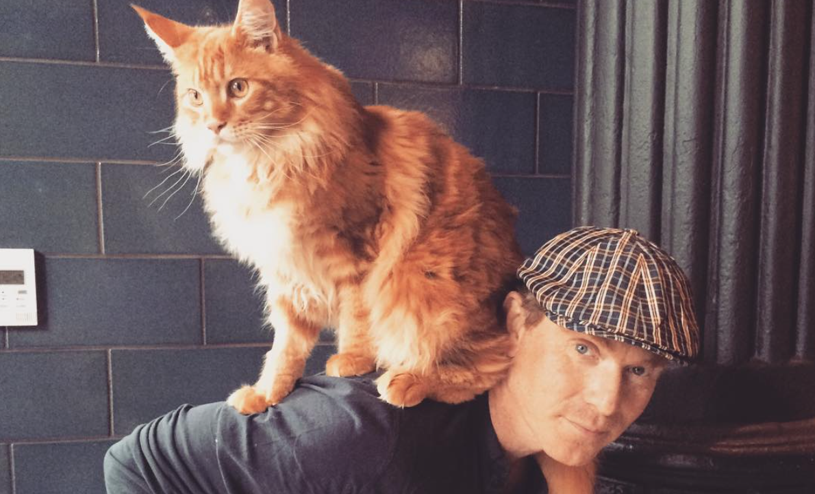 Cat Person Bobby Flay Loves His Maine Coon, Nacho Flay