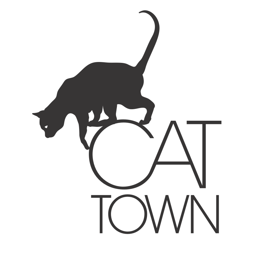 cattown.png