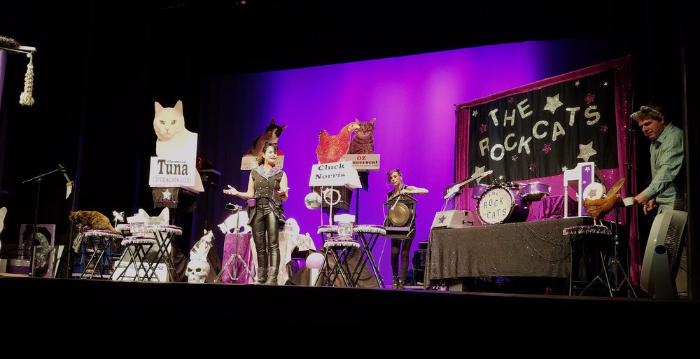 Photo by Patty Scull/That Cat Blog