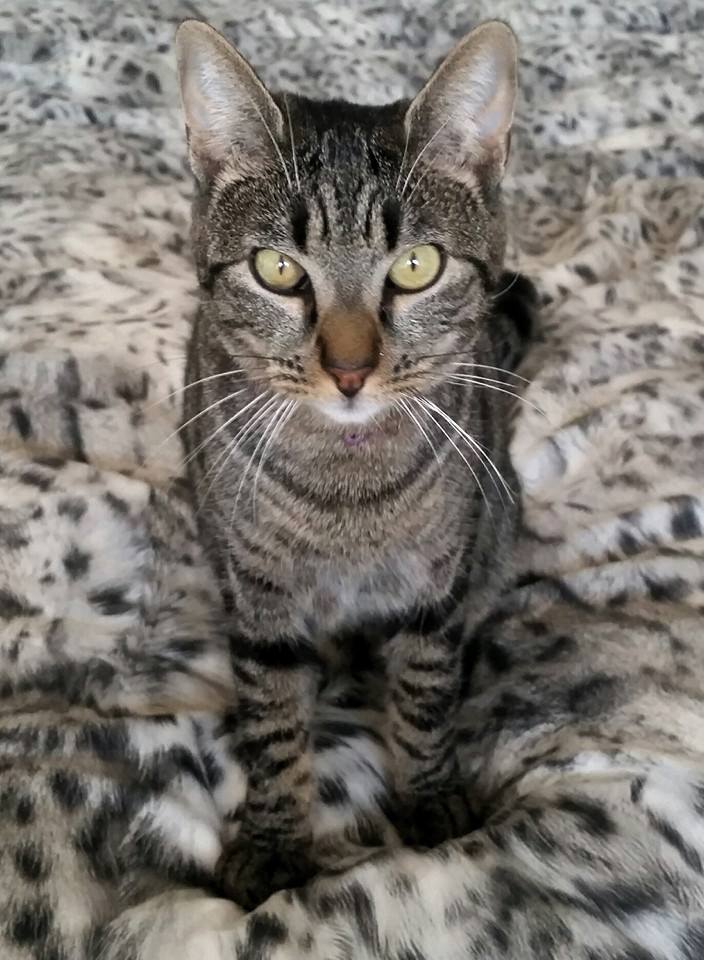 Tuna!